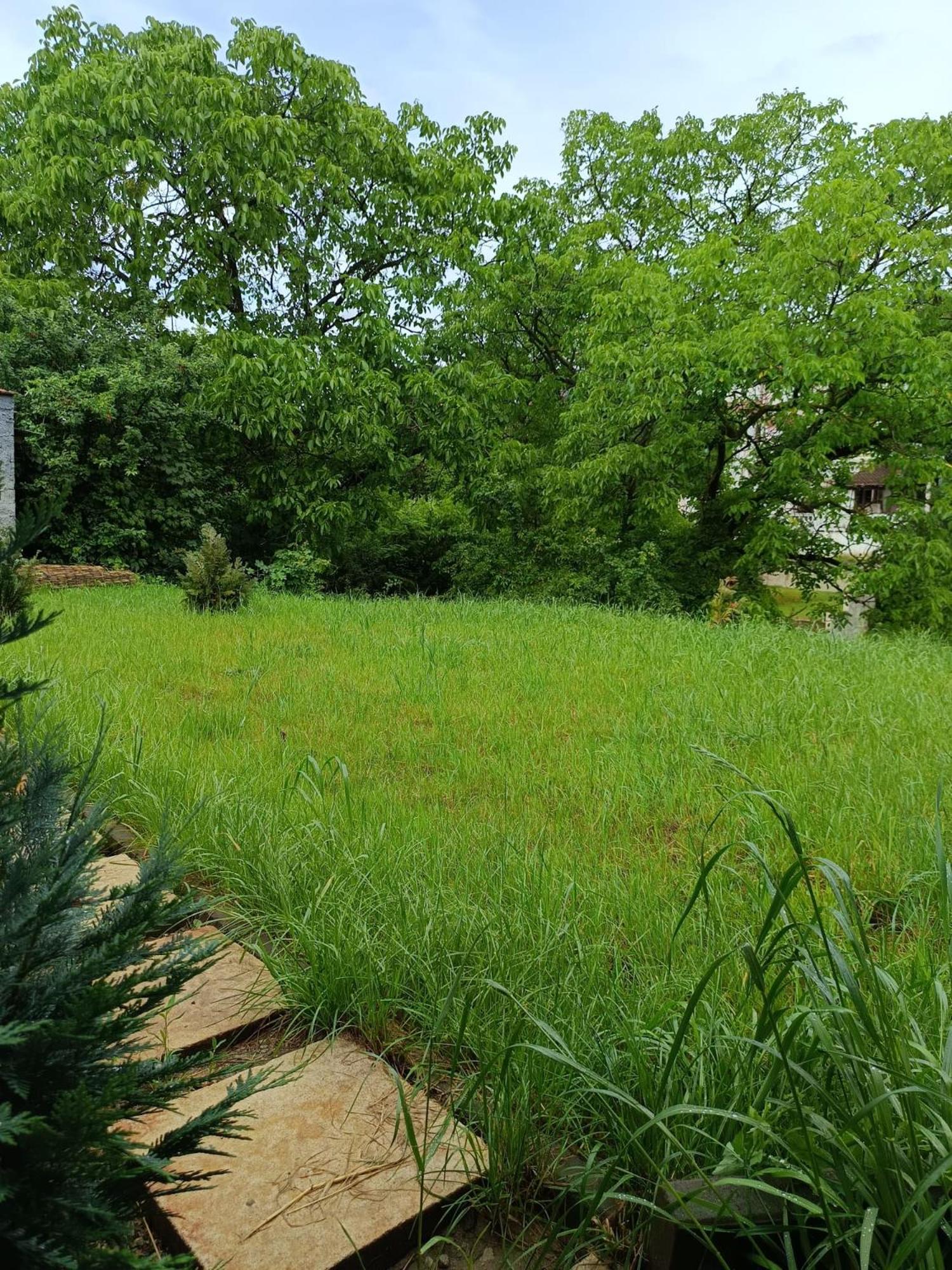 Lala Home Nagyvárad Kültér fotó